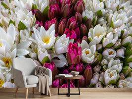 photo-wallpaper-a-bouquet-of-water-lilies