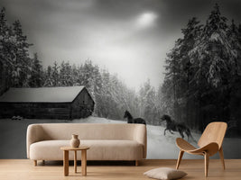 photo-wallpaper-untitled-xpe