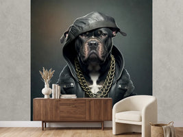 photo-wallpaper-bulldog-in-a-black-leather-jacket-with-a-heavy-gold-chain