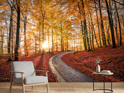 photo-wallpaper-road-in-sapderaysen-nationalpark-sweden-x