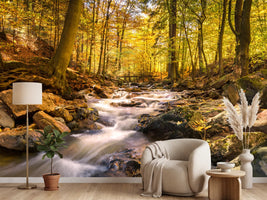 photo-wallpaper-real-nature-beauty