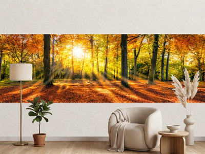 photo-wallpaper-golden-fall-atmosphere-in-the-forest