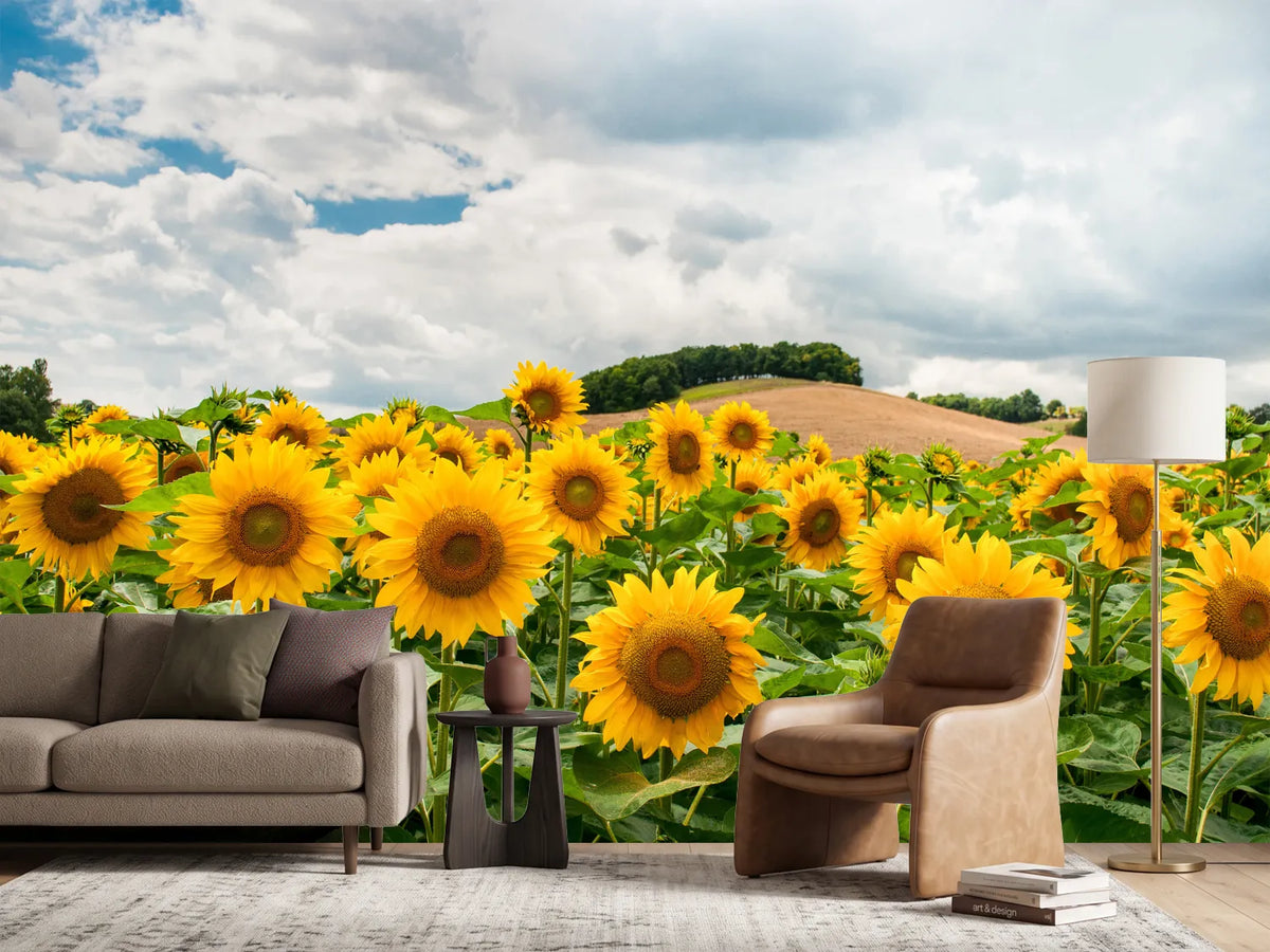 photo-wallpaper-landscape-with-sunflowers