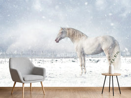photo-wallpaper-white-horse-snowfall