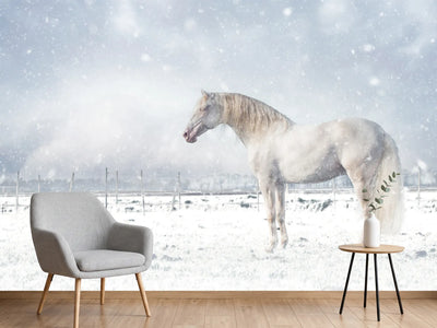 photo-wallpaper-white-horse-snowfall