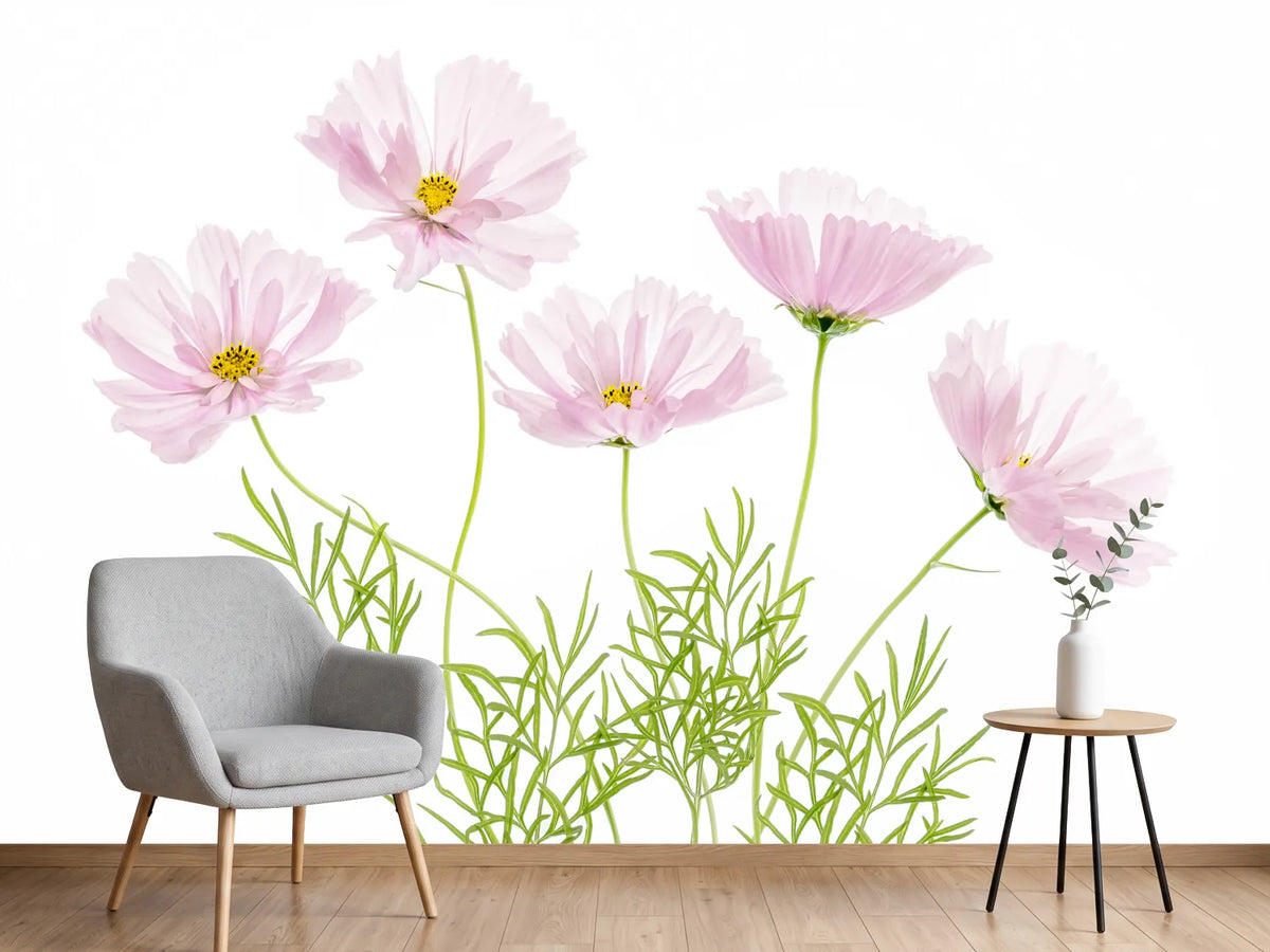 photo-wallpaper-cosmos-cupcake