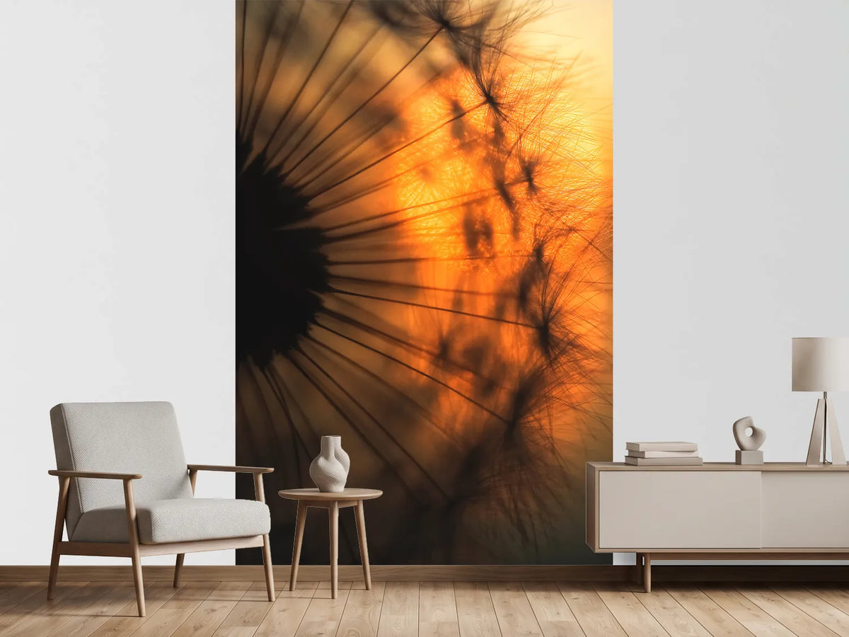 photo-wallpaper-sunset-x