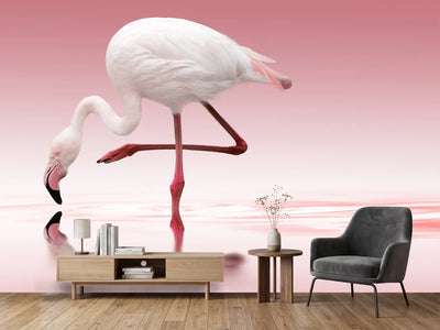 photo-wallpaper-flamingo