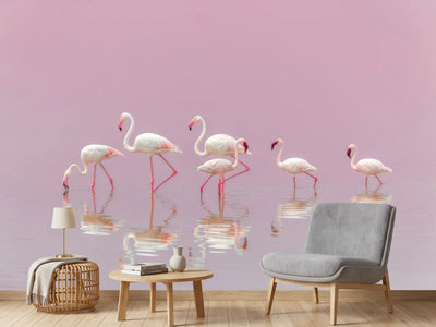photo-wallpaper-flamingos-xyo