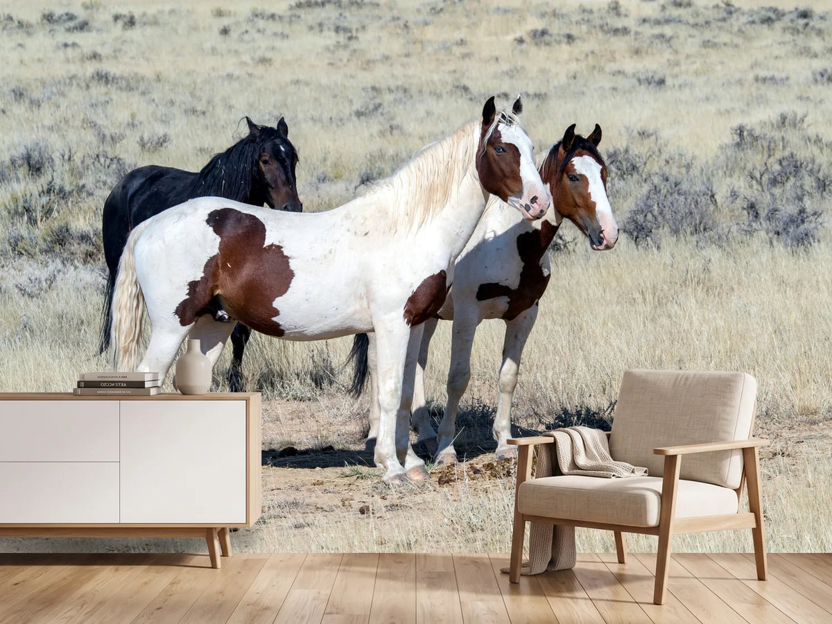 photo-wallpaper-3-wild-horses
