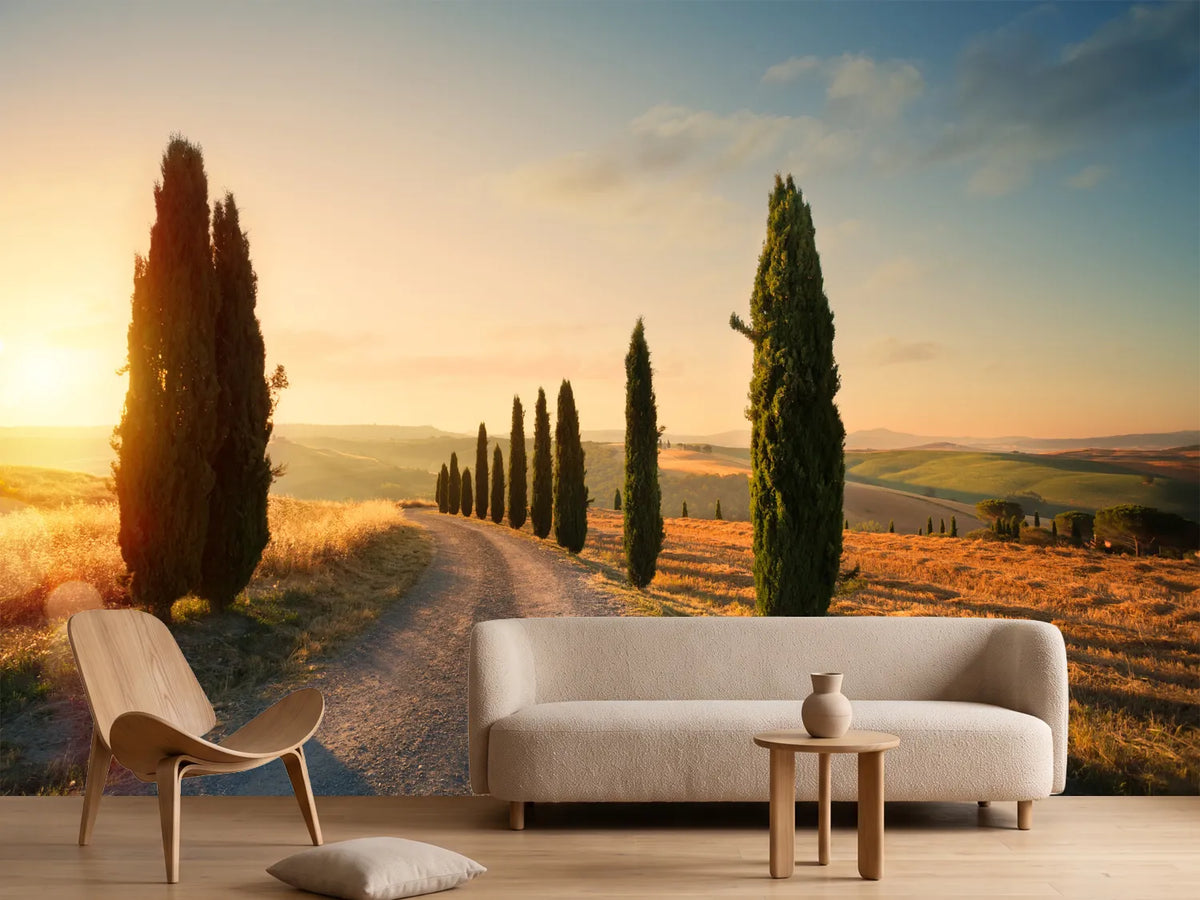photo-wallpaper-italy-tuscany-countryside-rolling-hills-summer-farmland-and-country-road