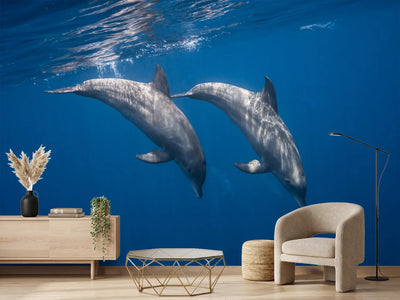 photo-wallpaper-two-bottlenose-dolphins