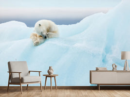 photo-wallpaper-polar-bear-grooming
