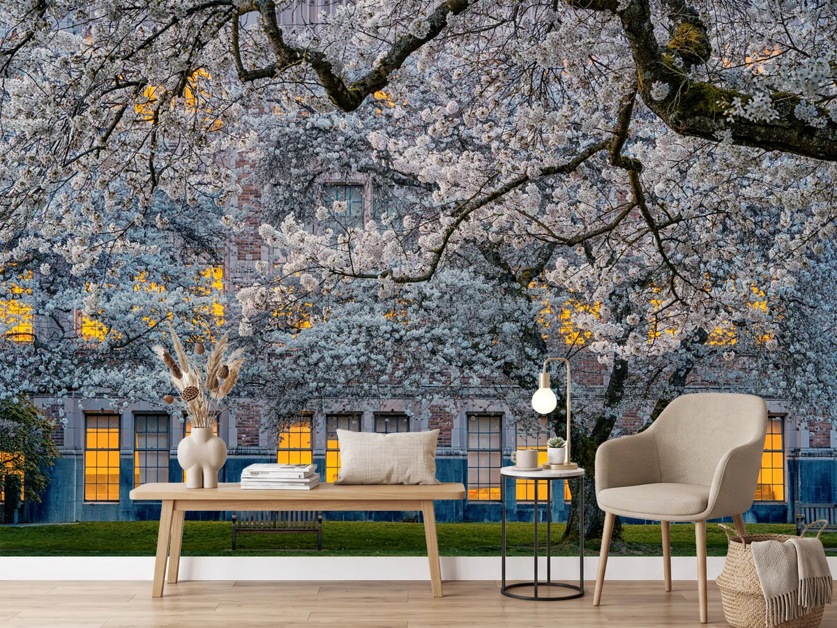 photo-wallpaper-morning-at-university-of-washington-x