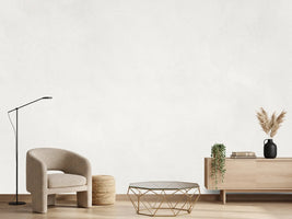 photo-wallpaper-subtle-white-texture