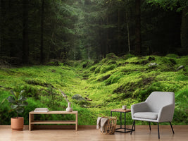 photo-wallpaper-beautiful-and-peaceful-forest-with-green-moss-covering-the-forest-floor