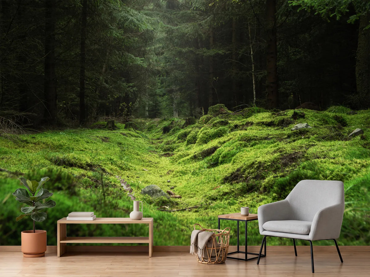 photo-wallpaper-beautiful-and-peaceful-forest-with-green-moss-covering-the-forest-floor