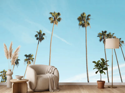 photo-wallpaper-a-sky-full-of-palm-trees