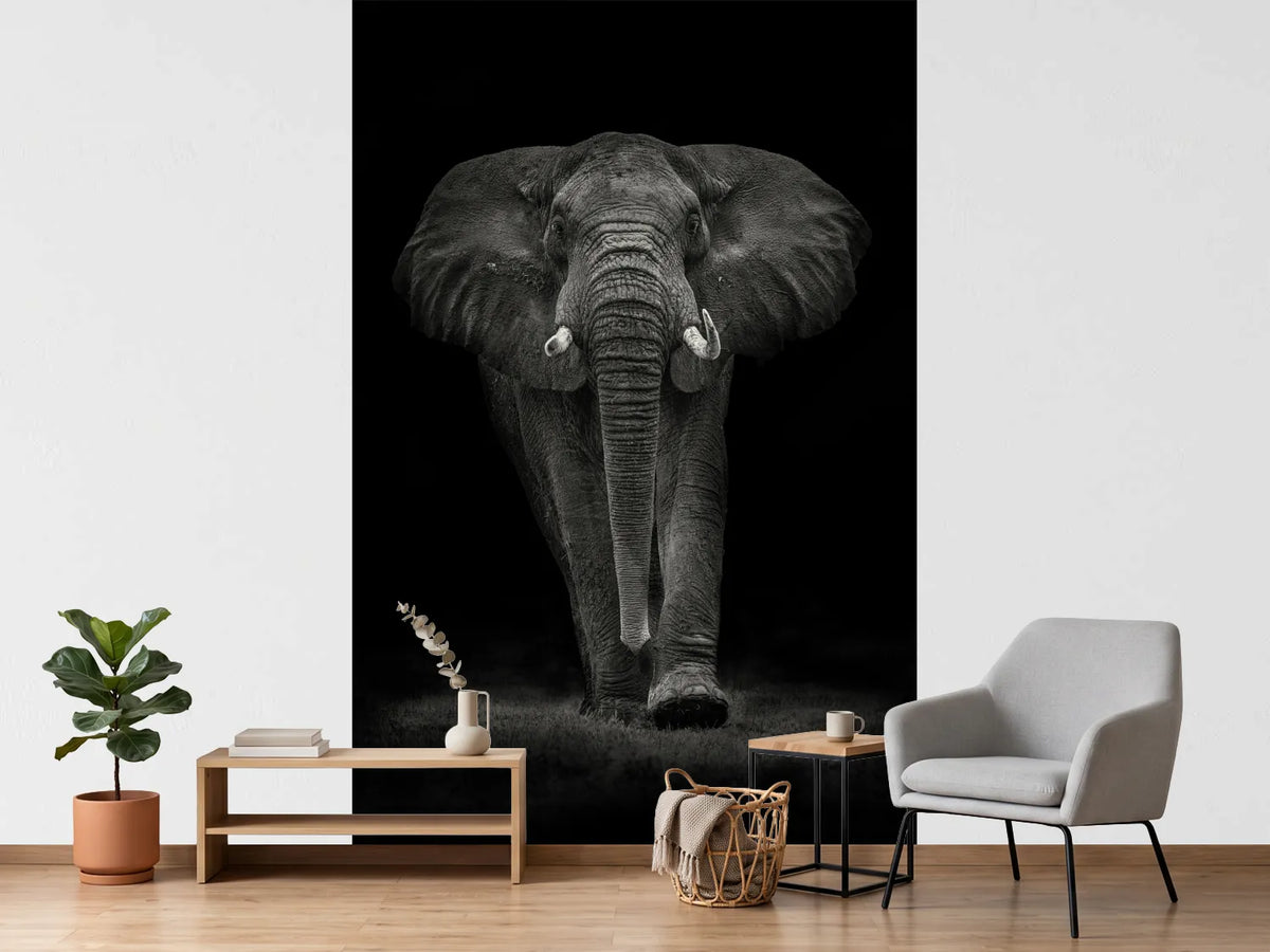 photo-wallpaper-ngorongoro-bull-x
