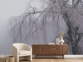 photo-wallpaper-ethereal-cherry-tree