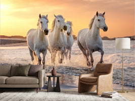 photo-wallpaper-strength-and-friendship-in-the-wind