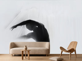 photo-wallpaper-the-dance-of-silence