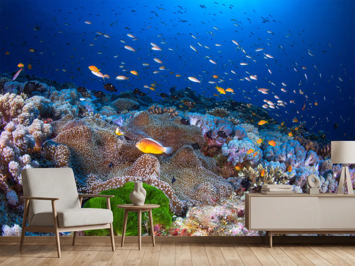 photo-wallpaper-anemon-and-anthias-x
