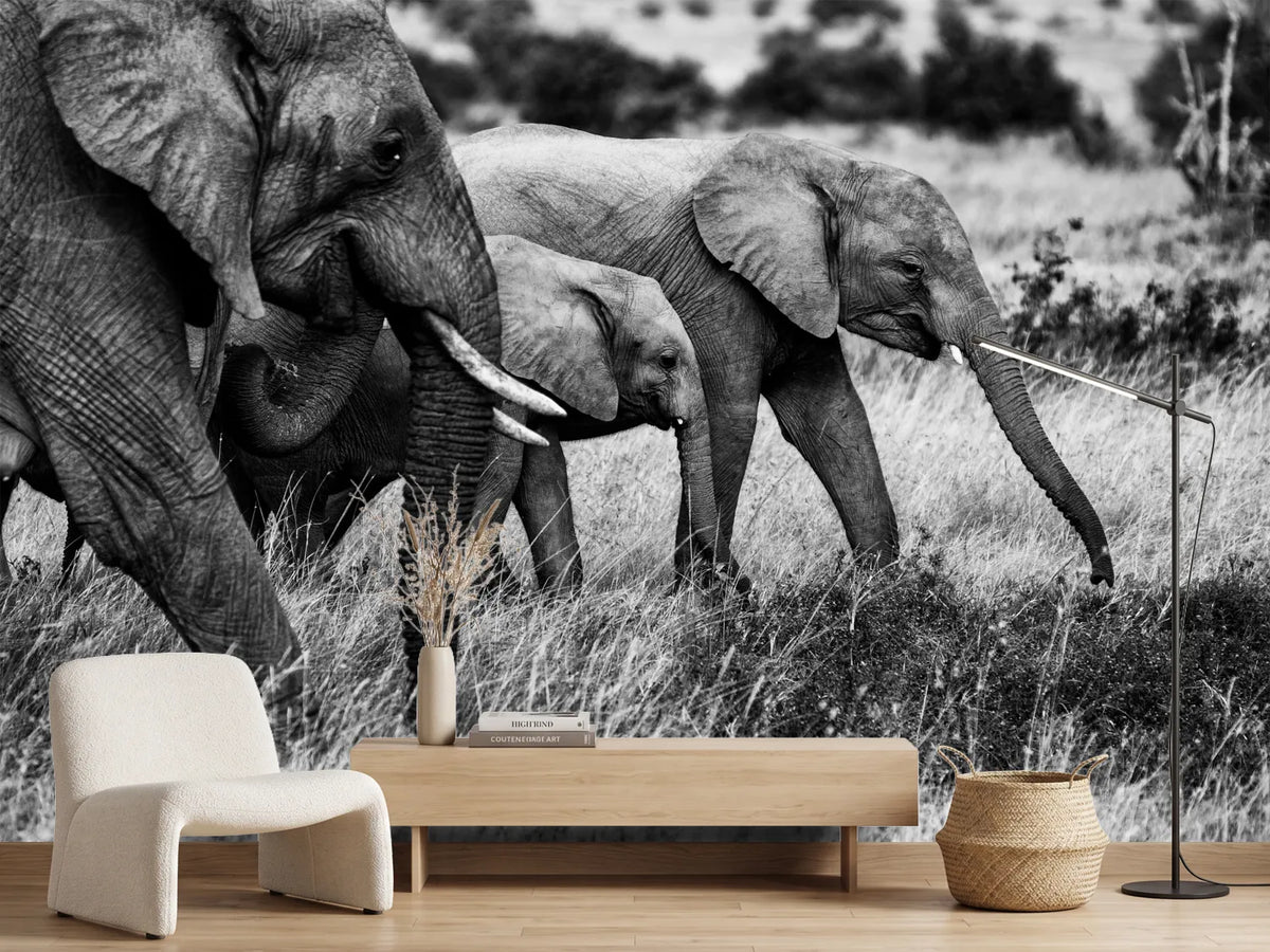 photo-wallpaper-elephant-family-x