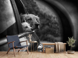 photo-wallpaper-roadtrip-x
