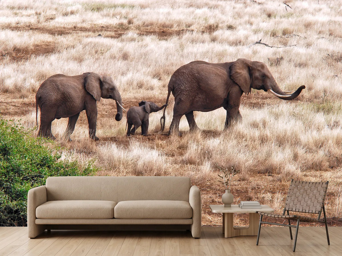 photo-wallpaper-elephant-family-tanzania-x