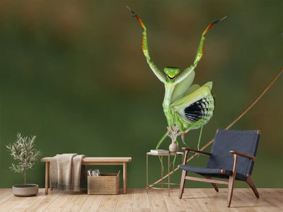 photo-wallpaper-are-you-gonna-dance-with-me