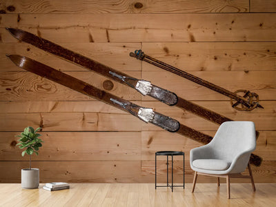 photo-wallpaper-retro-ski