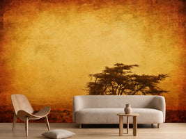photo-wallpaper-sunset-mood