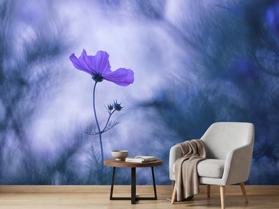 photo-wallpaper-blue-dream-x
