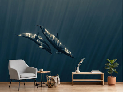 photo-wallpaper-dolphins-underwater-light