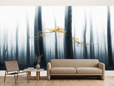 photo-wallpaper-misty-forest-glow-2