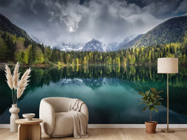 photo-wallpaper-moody-day-x