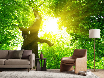 photo-wallpaper-tree