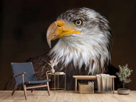 photo-wallpaper-caged-eagle
