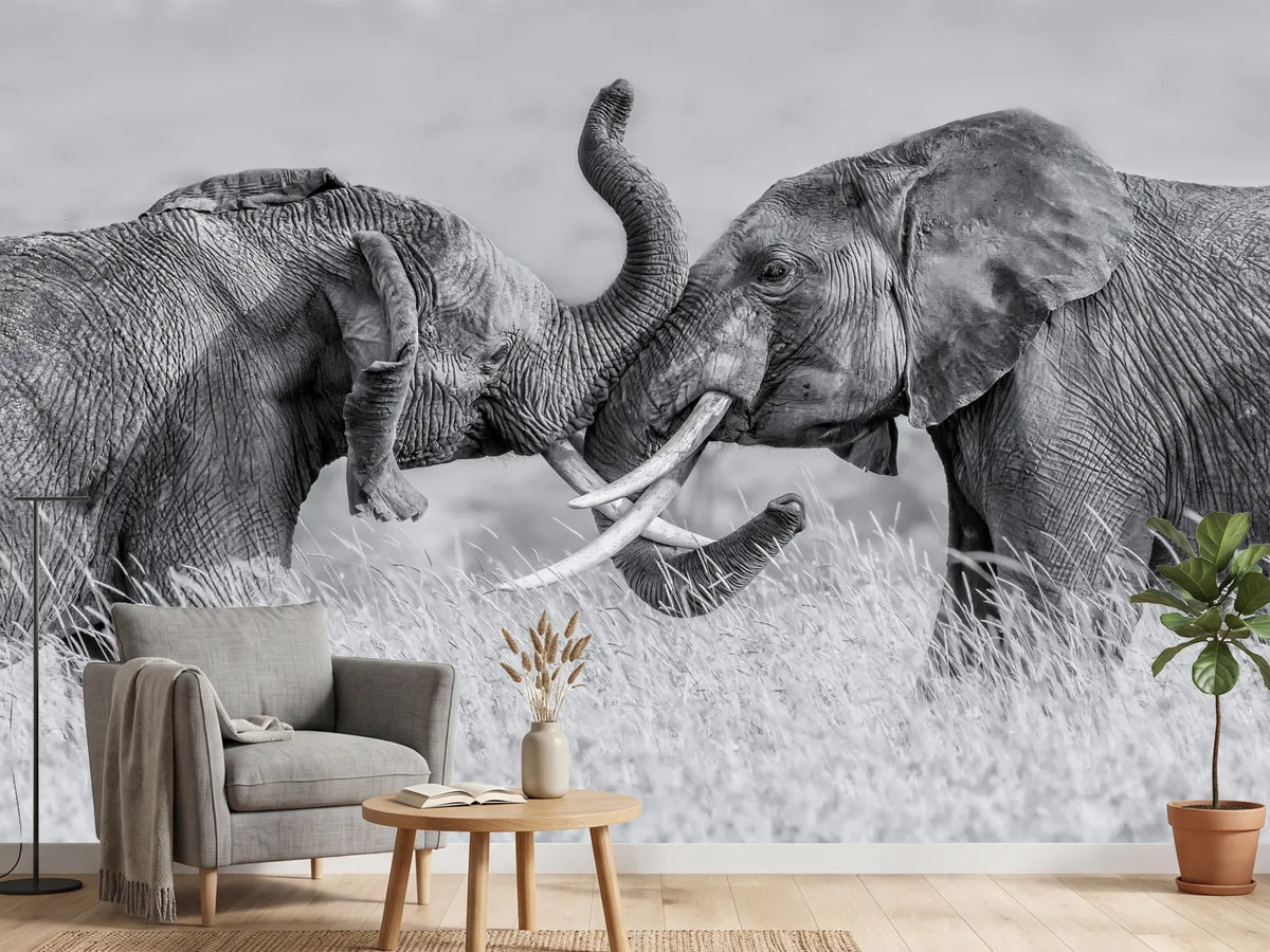 photo-wallpaper-elephant-qtai-chiq-x