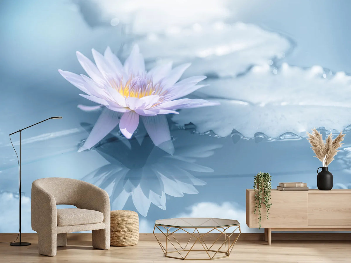 photo-wallpaper-reflection-xbu