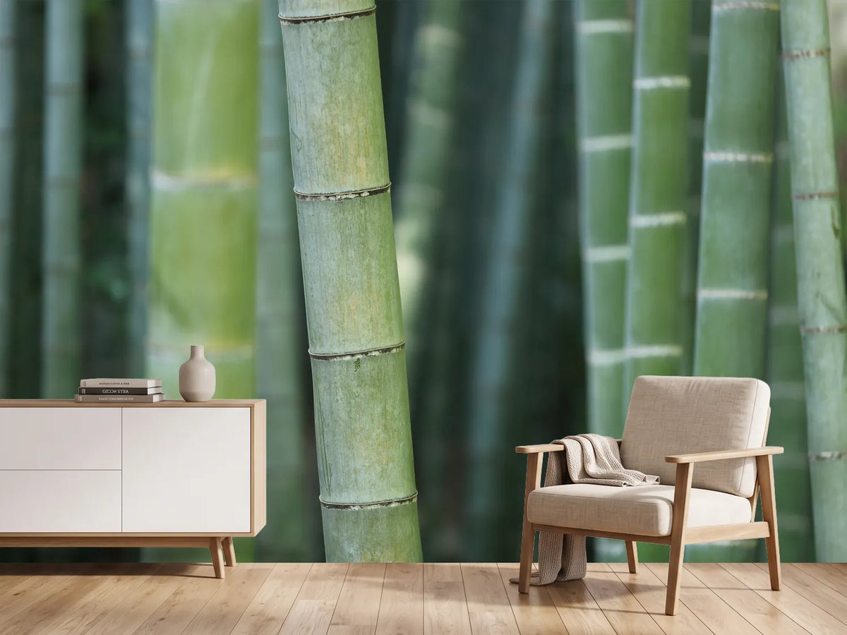 photo-wallpaper-bamboo-in-xxl