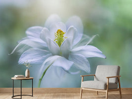 photo-wallpaper-purity-xup