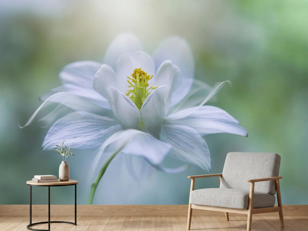 photo-wallpaper-purity-xup