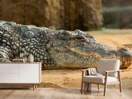 photo-wallpaper-the-nile-crocodile