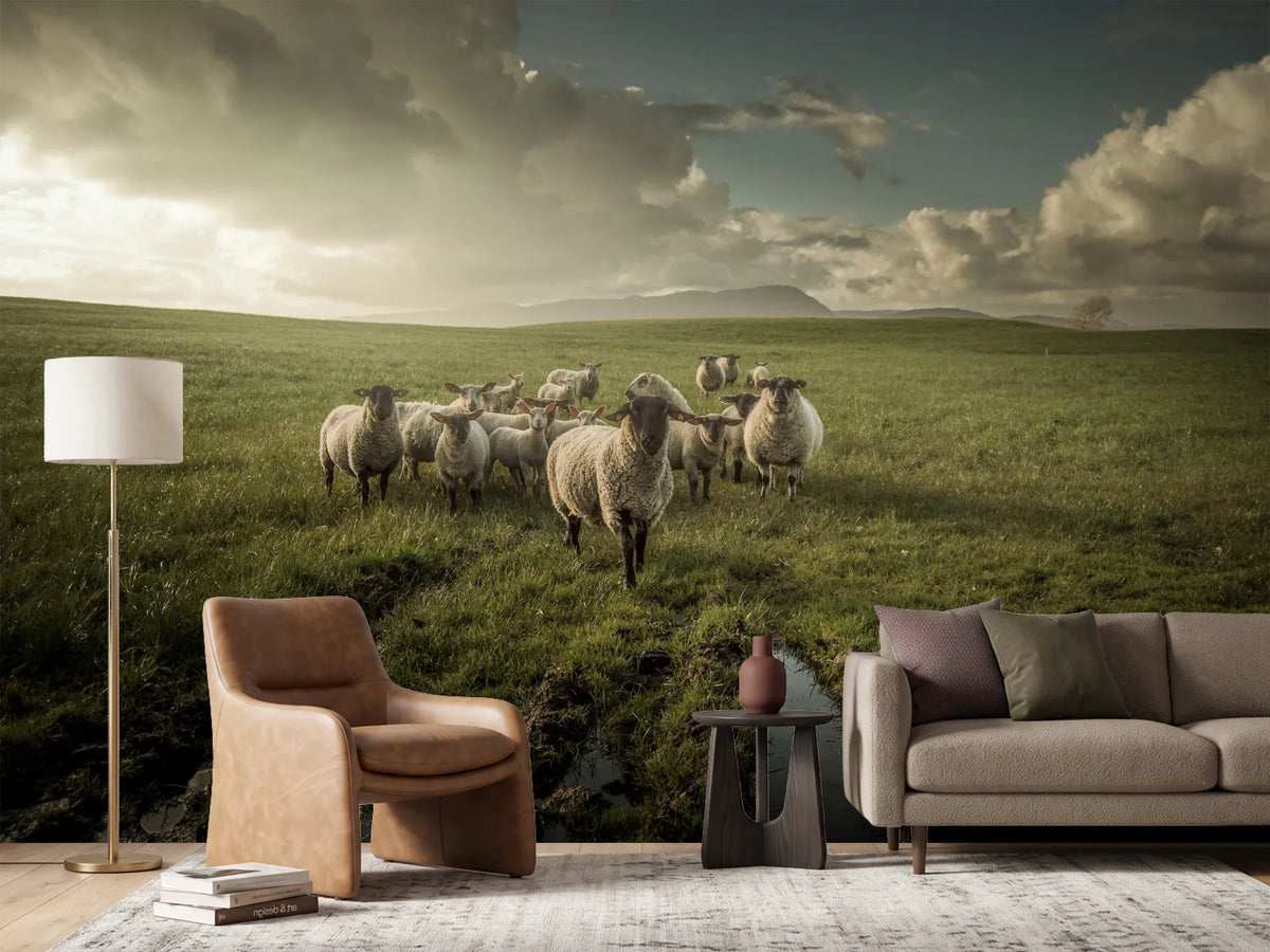 photo-wallpaper-sheep-x
