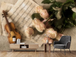 photo-wallpaper-the-violin