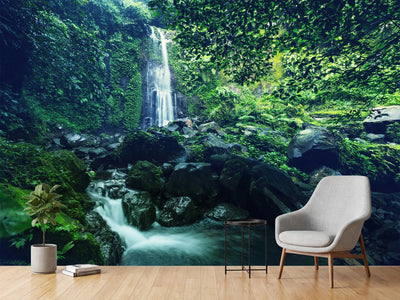 photo-wallpaper-nature