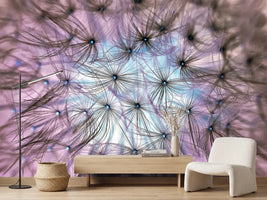photo-wallpaper-dandelion-in-the-light-play