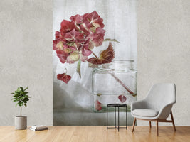 photo-wallpaper-hydrangea-xaa